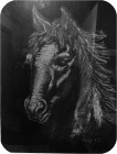 Il_cavallo_bianco.jpg