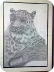 Leopardo.jpg
