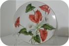 DSCN0237.JPG